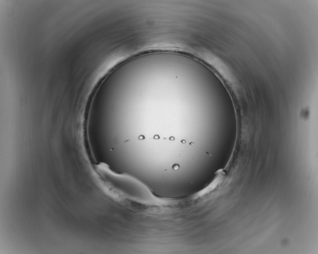 X0000102351237200808011156