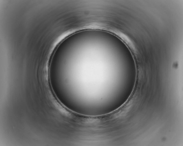 X0000102351238200808011156