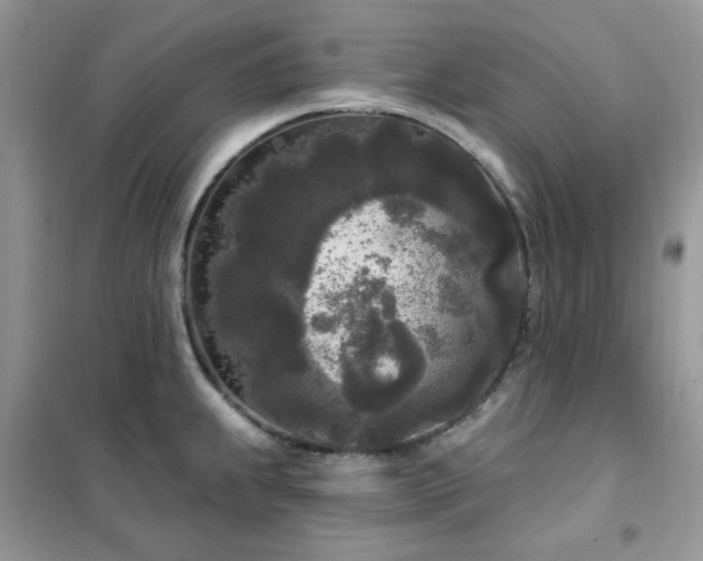 X0000102351239200808011156