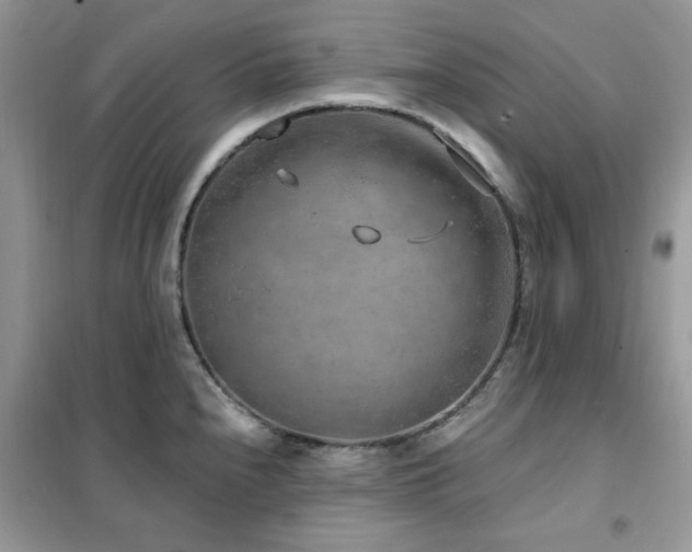 X0000102351240200808011156