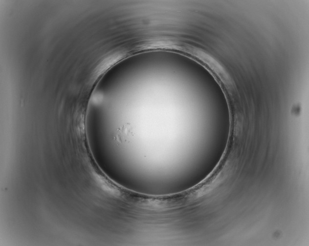 X0000102351241200808011156