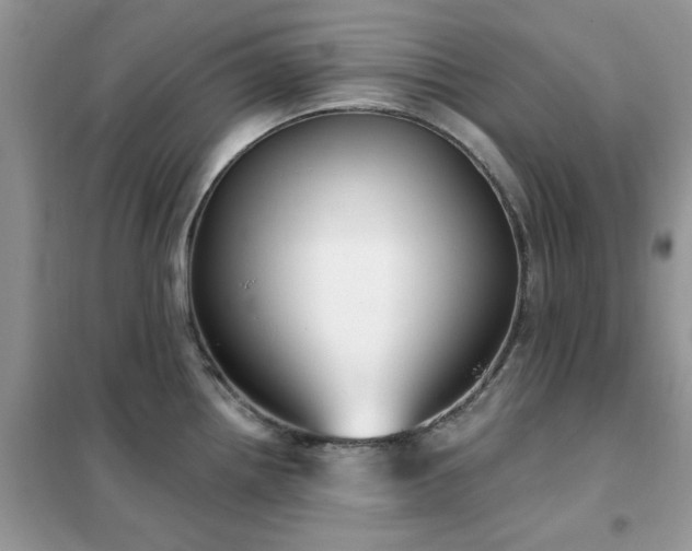 X0000102351242200808011156