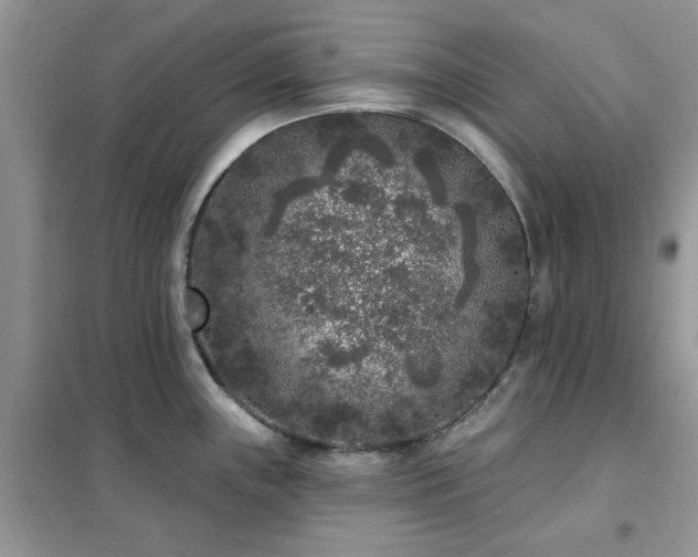 X0000102351243200808011156