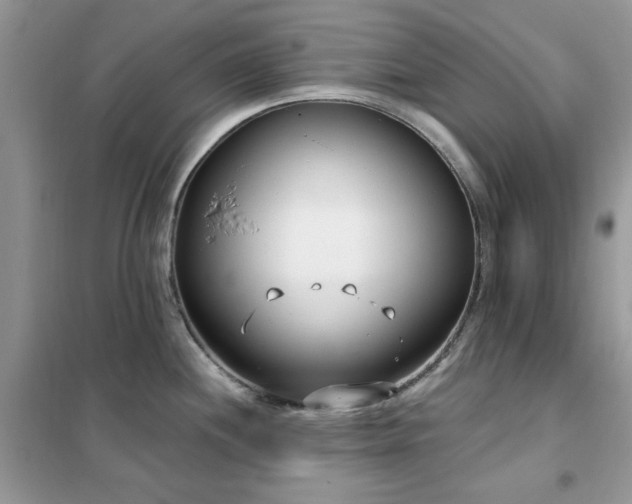 X0000102351244200808011156