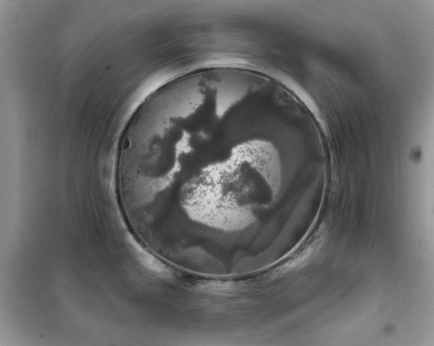 X0000102351245200808011156