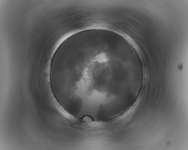 X0000102351246200808011156