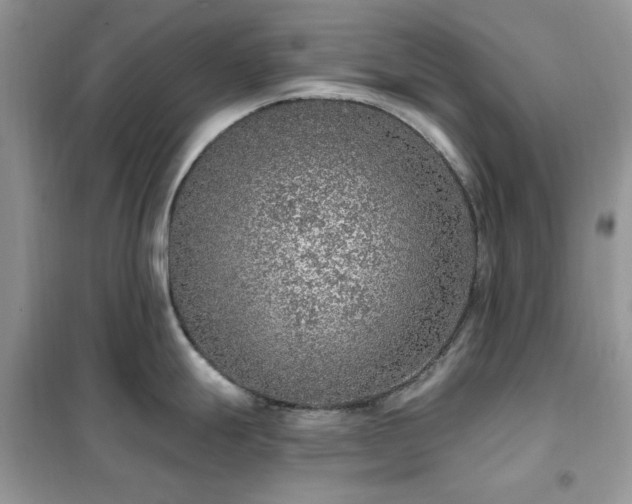 X0000102351247200808011156