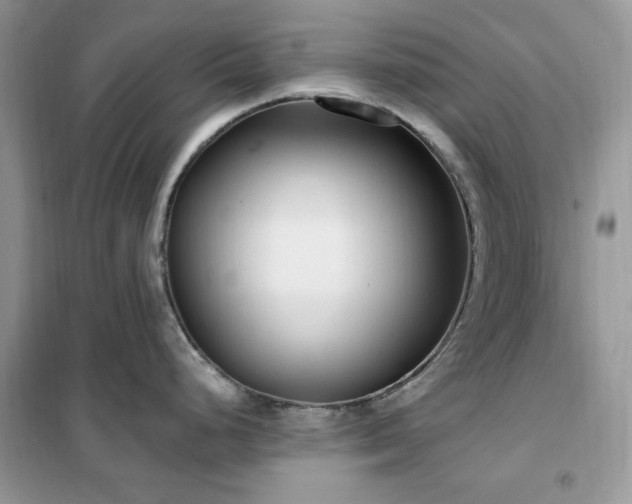 X0000102351248200808011156