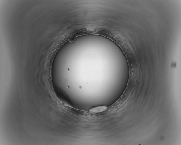 X0000102351249200808011156