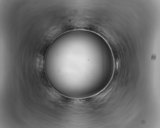 X0000102351251200808011156