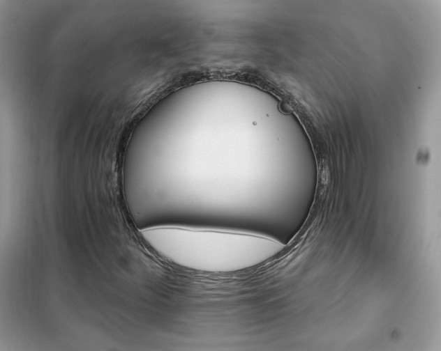 X0000102351252200808011156