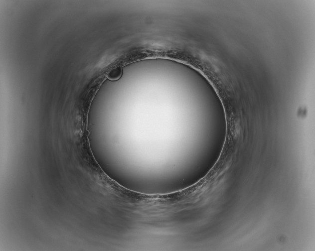 X0000102351253200808011156