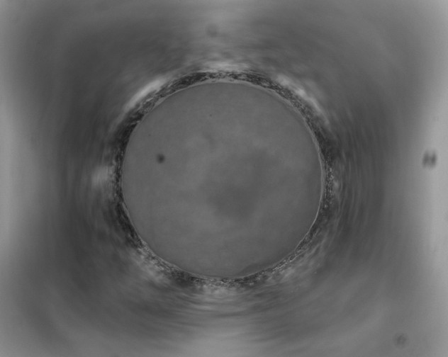 X0000102351254200808011156