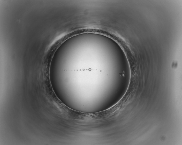 X0000102351255200808011156