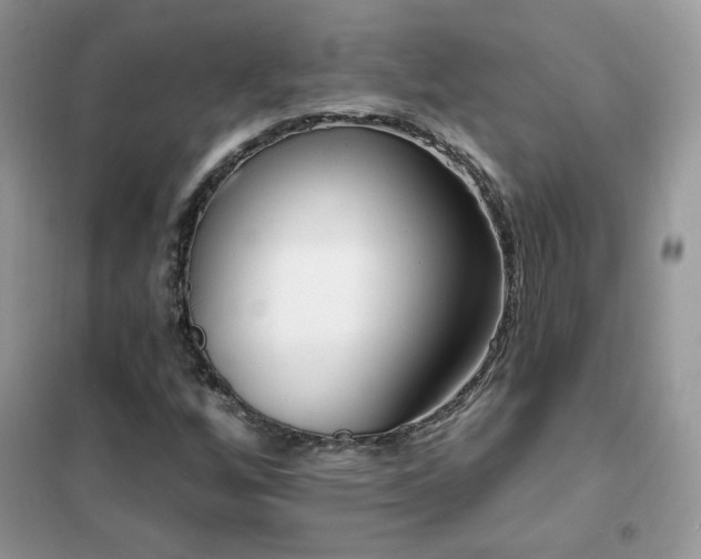 X0000102351256200808011156