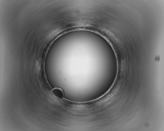 X0000102351257200808011156