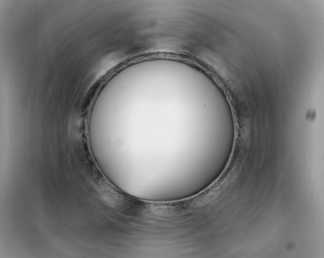 X0000102351258200808011156