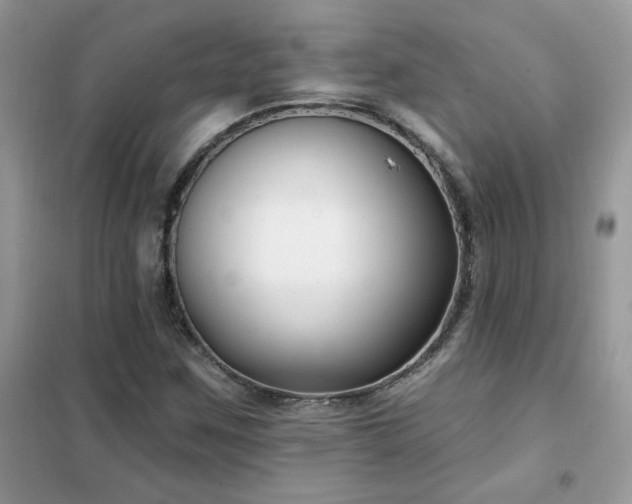 X0000102351259200808011155