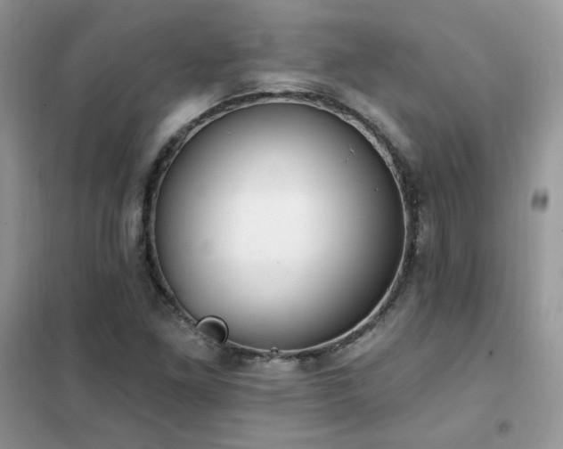 X0000102351261200808011155