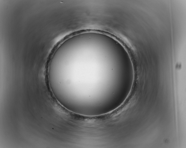 X0000102351264200808011155