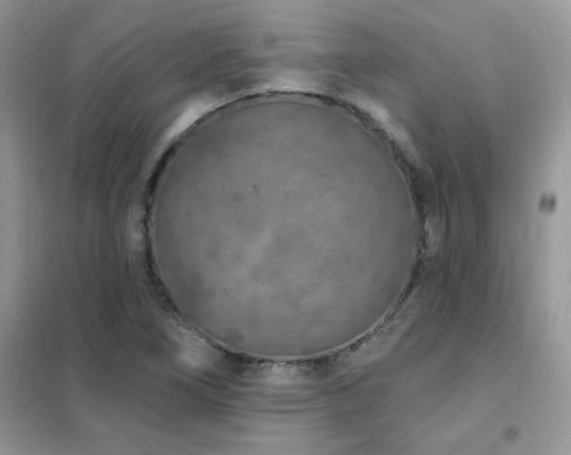 X0000102351266200808011155