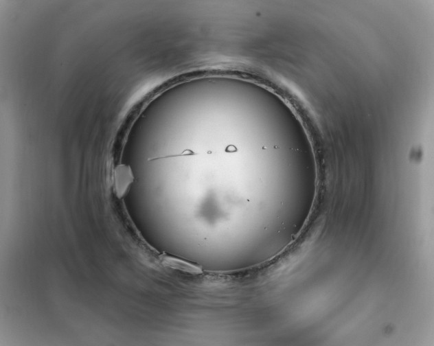 X0000102351267200808011155