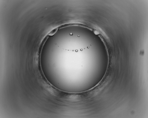 X0000102351268200808011155