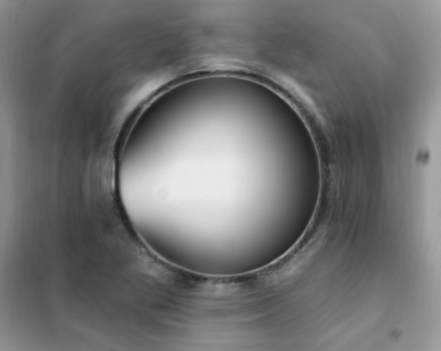 X0000102351269200808011155