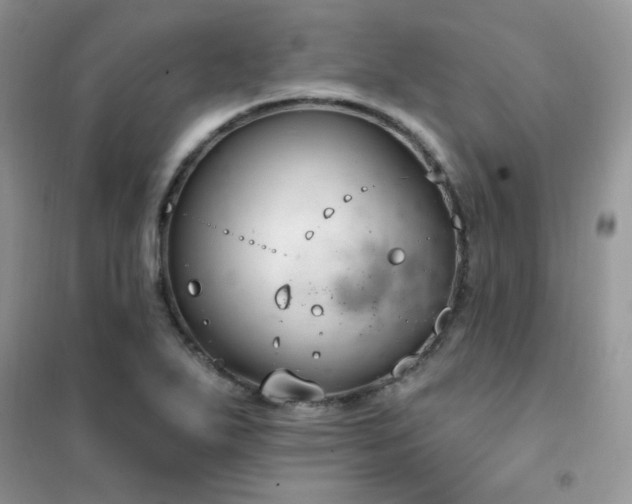 X0000102351271200808011155