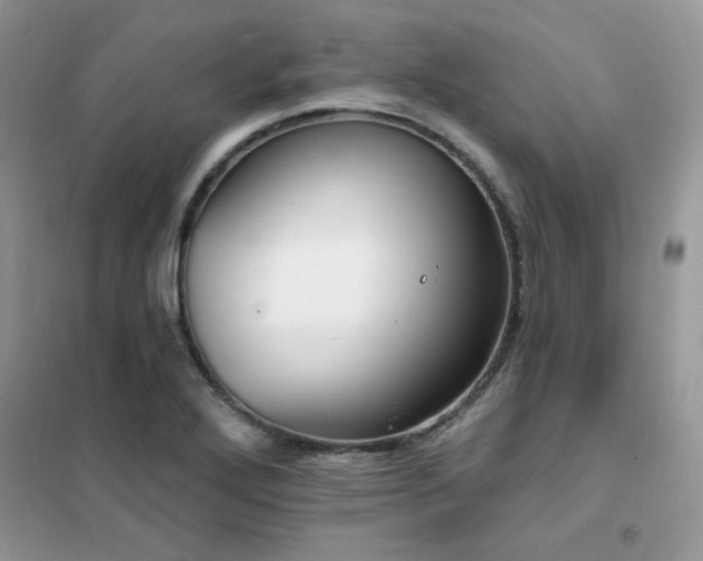 X0000102351272200808011155