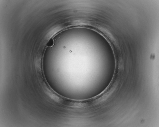 X0000102351273200808011155