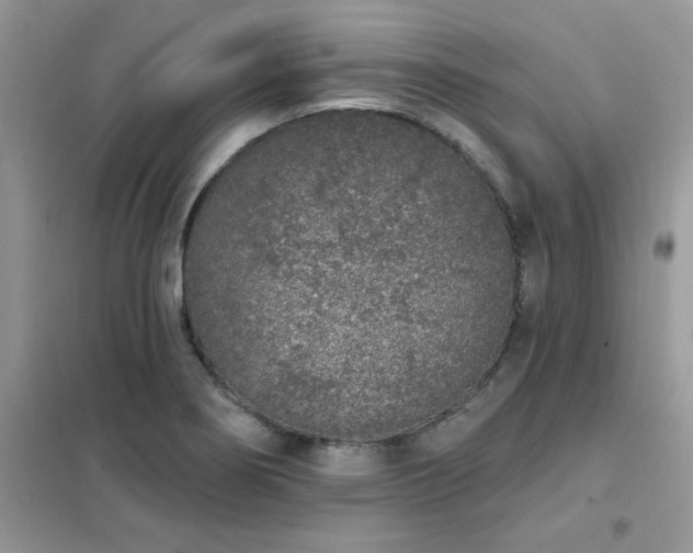 X0000102351274200808011155