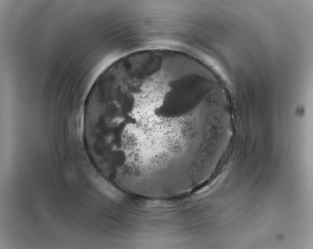 X0000102351275200808011155