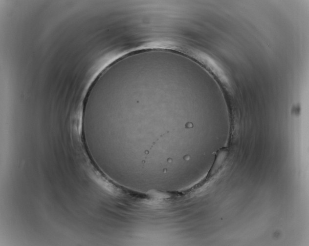 X0000102351276200808011155