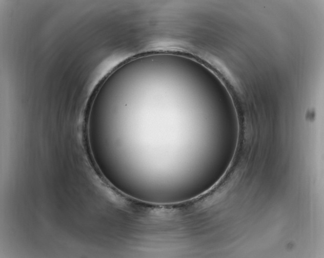 X0000102351277200808011155