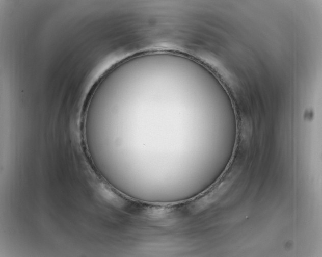 X0000102351278200808011155