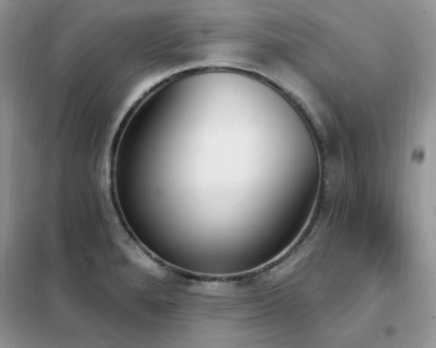 X0000102351280200808011155