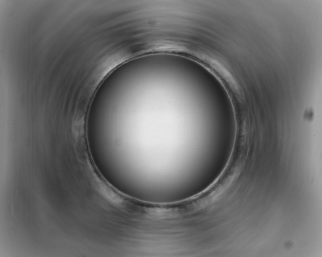 X0000102351281200808011155