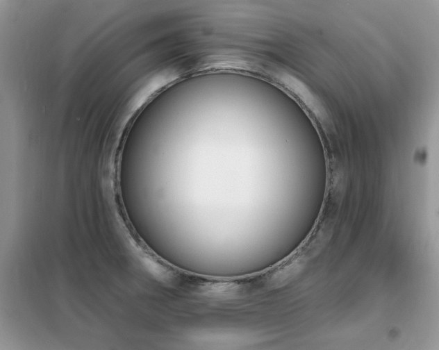 X0000102351282200808011155