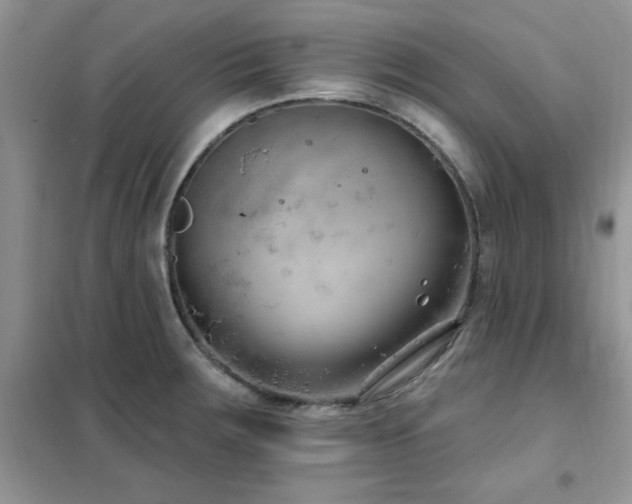 X0000102351283200808011155