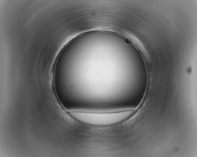 X0000102351284200808011155