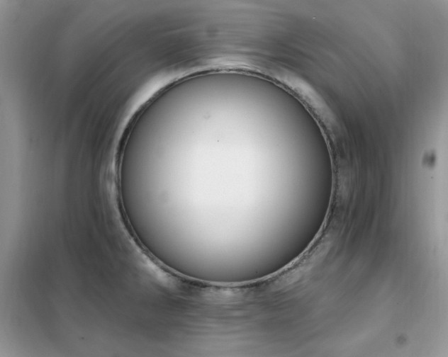 X0000102351286200808011155