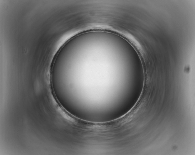 X0000102351287200808011155