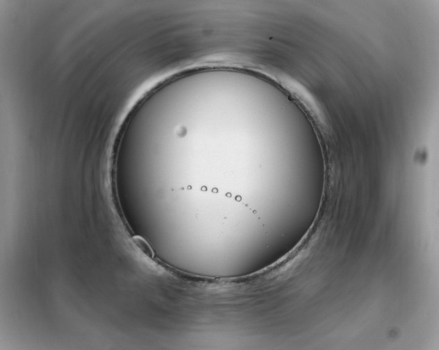 X0000102351288200808011155