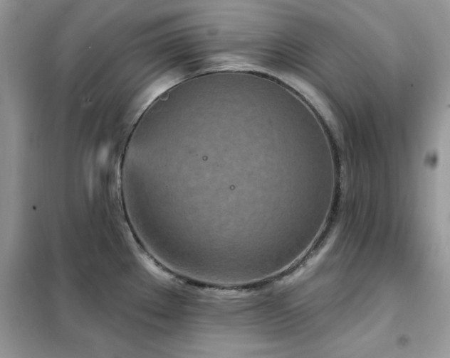 X0000102351289200808011155