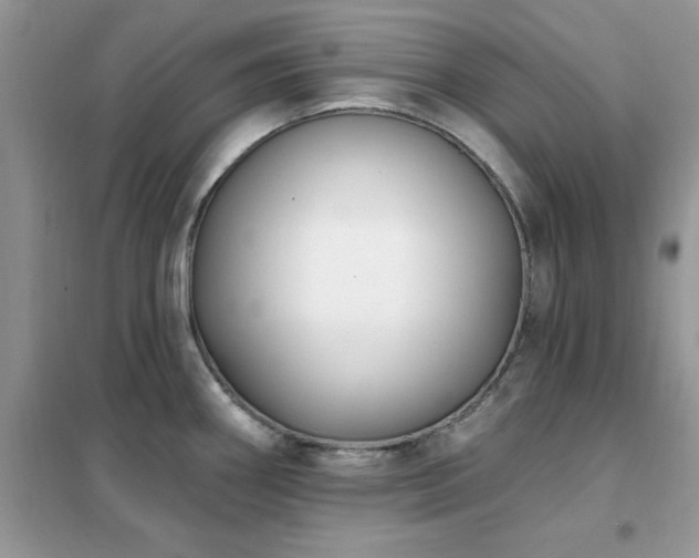 X0000102351290200808011155