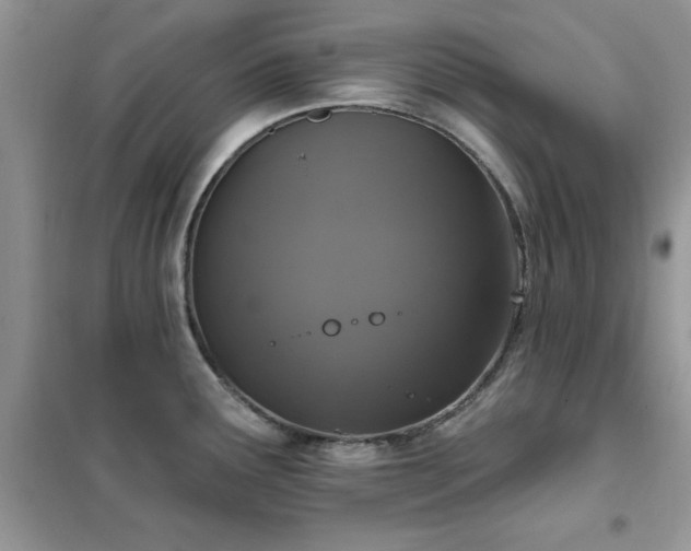 X0000102351291200808011155