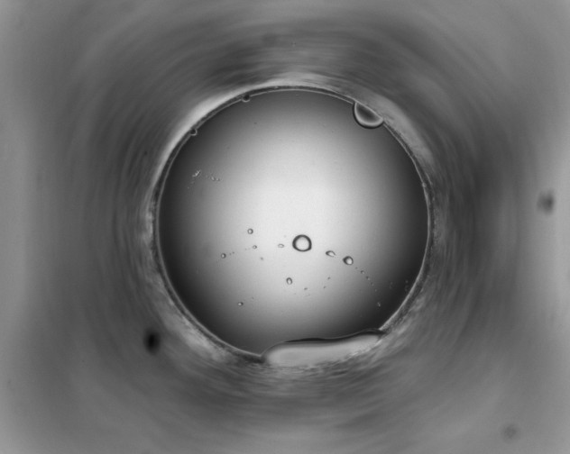 X0000102351292200808011155