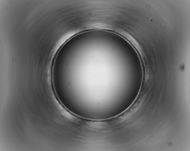 X0000102351293200808011155