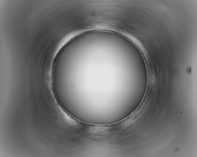 X0000102351294200808011155